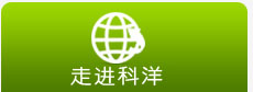 走進科洋